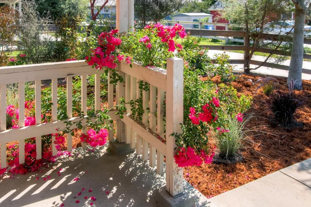 Serene Bungalow-Style Home In Point Reyes Station! Экстерьер фото